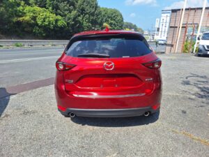 車の詳細